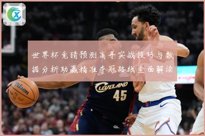 世界杯竞猜预测高手实战技巧与数据分析助赢精准夺冠路线全面解读数据研判