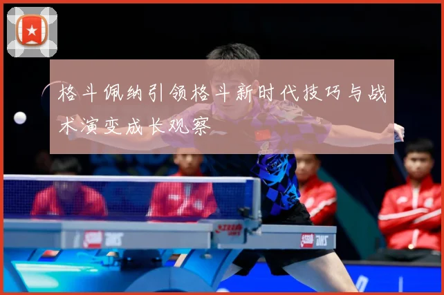 格斗佩纳引领格斗新时代技巧与战术演变成长观察