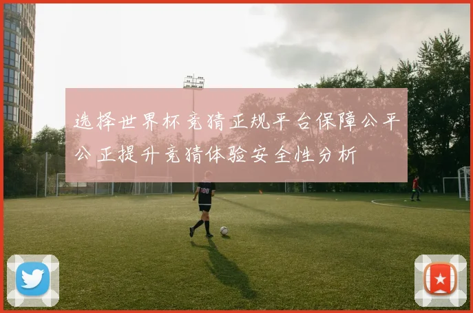 选择世界杯竞猜正规平台保障公平公正提升竞猜体验安全性分析