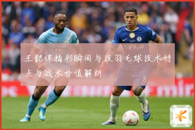 王懿律精彩瞬间与技羽毛球技术特点与战术价值解析
