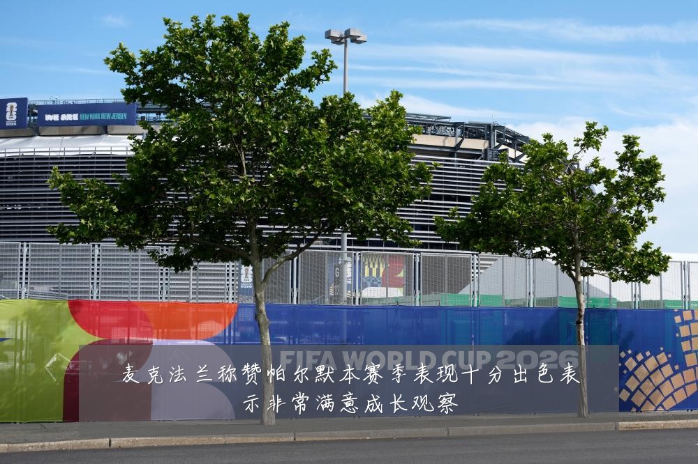 麦克法兰称赞帕尔默本赛季表现十分出色表示非常满意成长观察